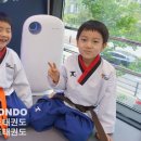 월드키즈태권도장 이미지