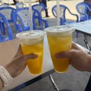 개미주유소 | 하나투어 와 함께 3박5일 나트랑 달랏 패키지 여행 후기 베트남 필수코스 맛있는 여행 특별한 추억 낭만...