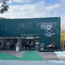 평강농장 | 마이애니멀스토리 in 평강랜드 포천 동물원 , 서울근교 당일치기 여행 , 포천 테디베어 소 (스코틀랜드 소)