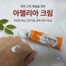 아젤리아 | 왕솔약국에서 산 아젤리아크림 18000원 구매 후기