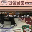 견생냥품 무인24시 대구 죽곡점 | 대구 24시 무인펫샵 애견용품점 추천 견생냥품 대구도원점