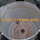 제일로 53번길 이미지