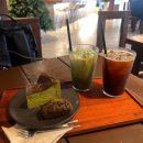1139 | 남양주 카페 녹화 후기 | 북한강뷰 말차 맛집 💚 남양주 감성카페 추천