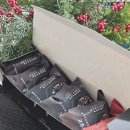 중화짬뽕 | 강릉 중앙시장 먹거리 중화짬뽕빵 택배 후기