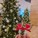 하양 판테온 대대클럽 | 24년 Christmas 웨스턴조선호텔 후기!!