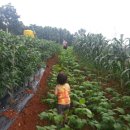 승희네농장 이미지