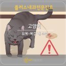 강내동물병원 이미지