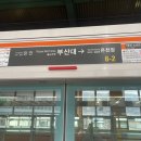 인하정문약국 | 이 밤에 손 끝에 지난 생각들을 지우고