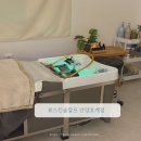 안양 일소리 | 안양두피스켈링맛집 [뷰스킨&amp;숲칼프 안양 호계점]후기 추천