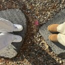 청구세탁마트 이미지