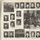 영월-51