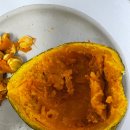 4월 기획공연 <핑크퐁 클래식 나라> | 6월 4주 - 회복, 페이스 갤러리, 홍대 공연, 무해런, Breaking4, 여름, KOREA50K