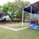 데구르르 이미지