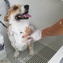 학하서로 이미지