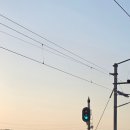 이오피쉬 이미지