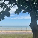 풀등이야기 | 당일치기로 소이작도 트레킹 다녀오기 (매표부터 탑승하고 돌아오기까지~)