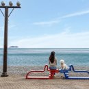 블루베리펜션 | 블루베리 애견동반 펜션 애견과의 자유로운 힐링 공간