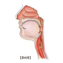 만성 기침(Chronic cough) 이미지
