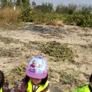 송죽농장 이미지