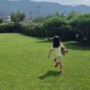 도화 민박 이미지