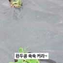 천왕봉농산 네이버블로그