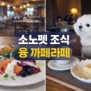 펫라떼