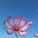 동패1통 이미지