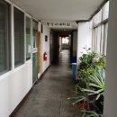 산호동369 이미지