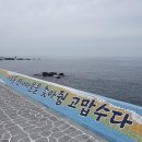 에바다호스텔 | 제주공항근처 저렴한 숙소 이호테우해변 제주 에바다 호스텔~