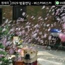 명성생고기축산물 - 청주시 상당구 단재로 734 | 명성생고기축산물