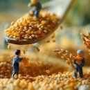 신중동역(7호선) 이미지