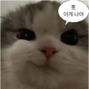 한국덴탈 이미지