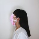 상사의숲 이미지