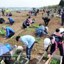 일번지농장 이미지