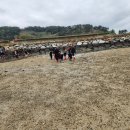 포두초등학교 이미지