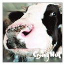 물밑목장 이미지