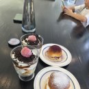 마마모텔 이미지