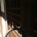 오늘의거제 이미지