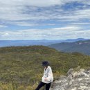 구름 9 | 호카 본디9 VS 호카 본디 8 비교 후기 구름 위를 걷는 듯한 운동