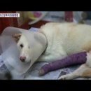 Be동물병원