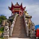 중국어 101구의 기적 이미지