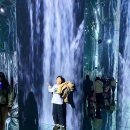 뿌리 유치원 | 부산 아르떼 뮤지엄 초4,유치원 생 후기