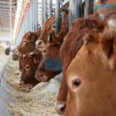 우만농장 이미지