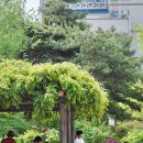 성호초등학교 이미지