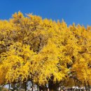 경민한우 | [순기] 이사, 부산 나들이, 건강검진으로 바빴던 24년 11월의 중반