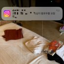 스위트세탁소 이미지