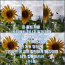 말씀 묵상 14ㅡ주야로 묵상 이미지
