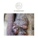 오산동물병원 이미지