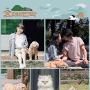 진이민박 이미지