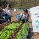 현대그린농장
